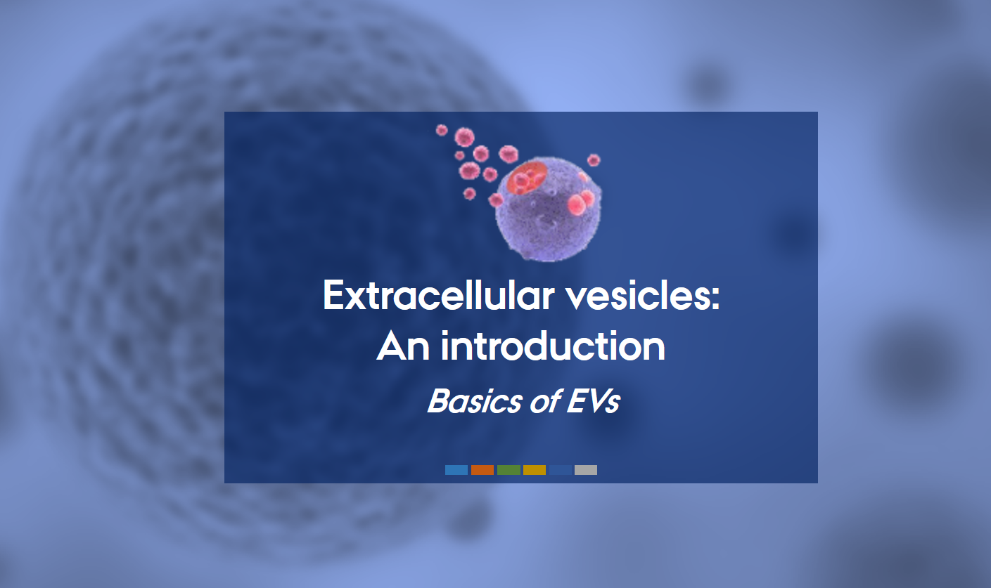The Aarhus group members of evFOUNDRY held a 3 day long PhD course ‘Extracellular Vesicles (EVs) – an introduction’